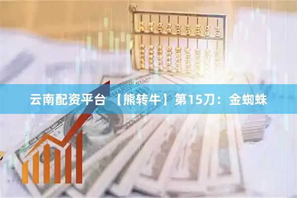 云南配资平台 【熊转牛】第15刀：金蜘蛛